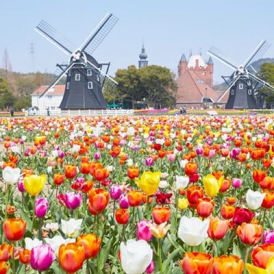 Sản phẩm của công ty